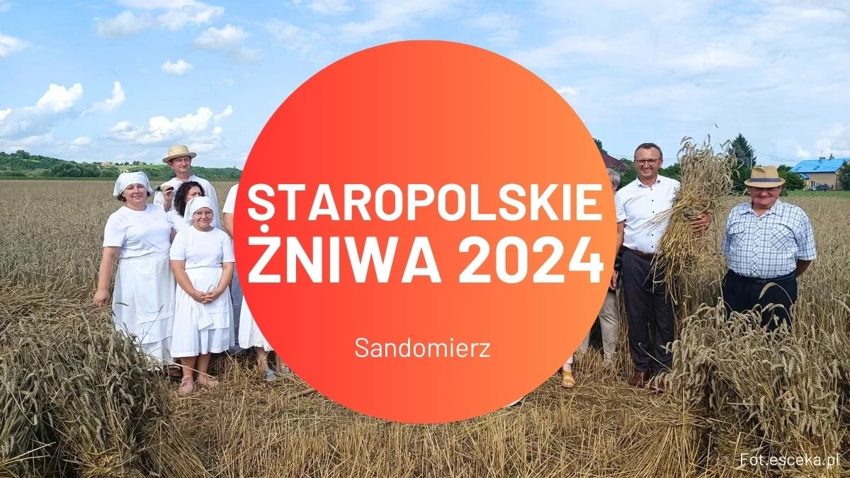 Staropolskie Żniwa w Sandomierzu 2024. Powrót do tradycji polskiej wsi [WIDEO] - Zdjęcie główne