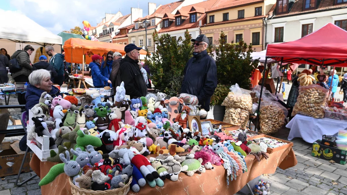 Odpust bł. Wincentego Kadłubka w Sandomierzu 2024. Co w planie? - Zdjęcie główne