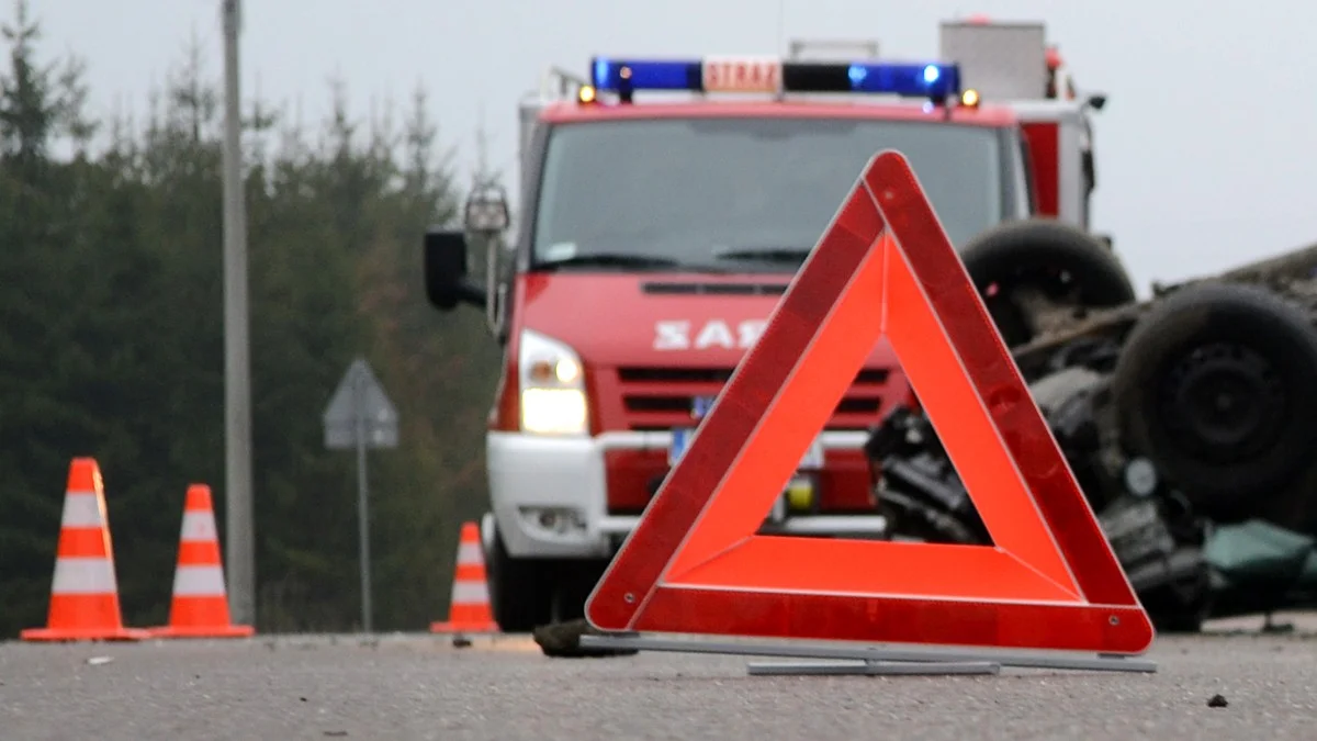 Znów pijani kierowcy na drogach powiatu sandomierskiego. Wśród nich senior na motorowerze - Zdjęcie główne