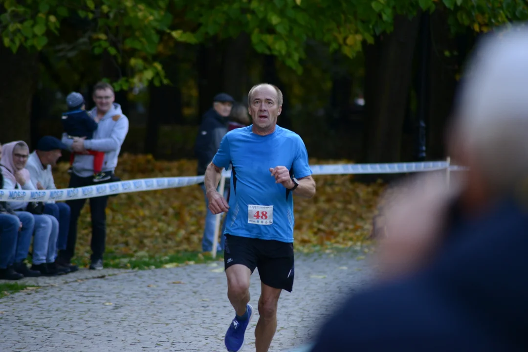 44. Bieg Nadwiślański Baranów Sandomierski - Tarnobrzeg - zdjęcia z biegu głównego