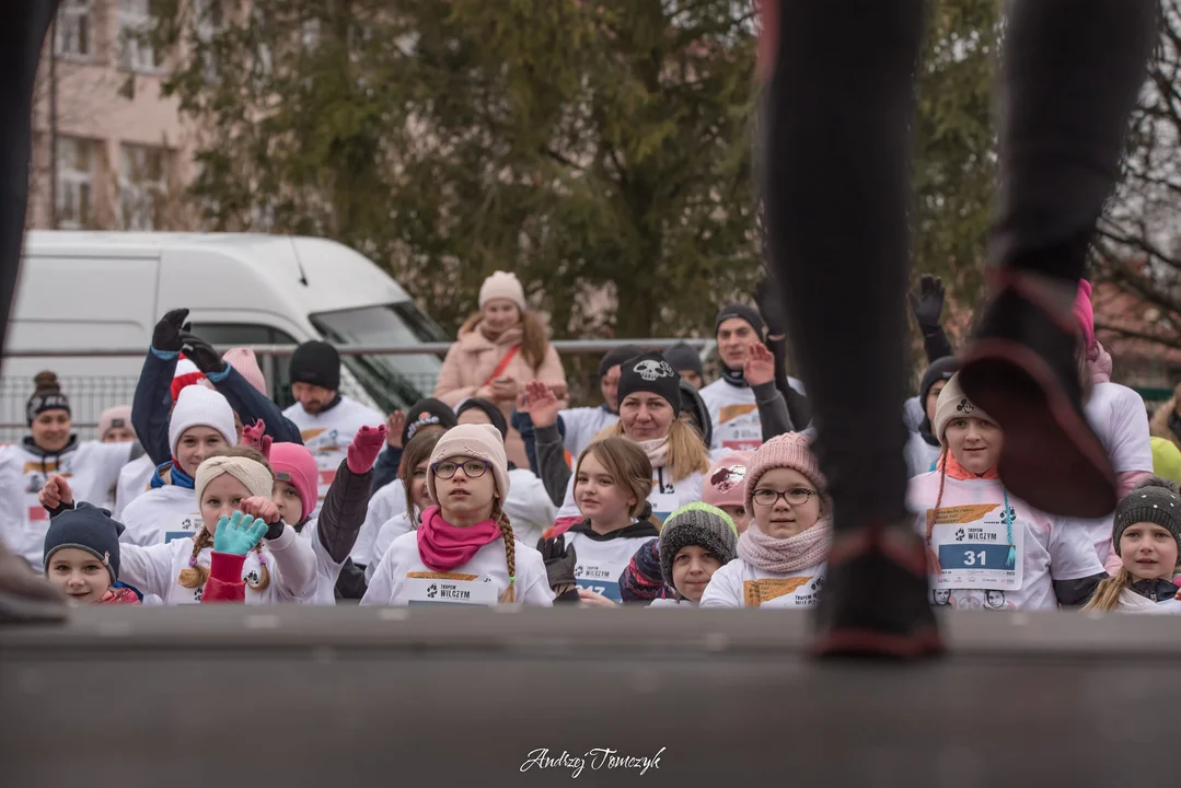 Bieg "Tropem Wilczym" w Stanach koło Stalowej Woli