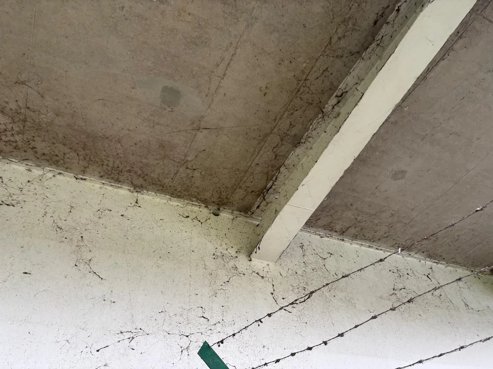 W tym miejscu w Rzeszowie wszędzie są śmieci!