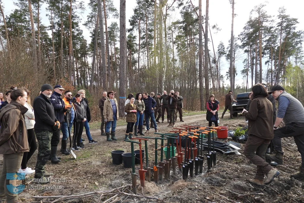 Samorządowcy z gminy Kolbuszowa idą na ratunek lasom. Posadzili kilka tysięcy drzew na terenie Leśnictwa Nowa Wieś [ZDJĘCIA] - Zdjęcie główne