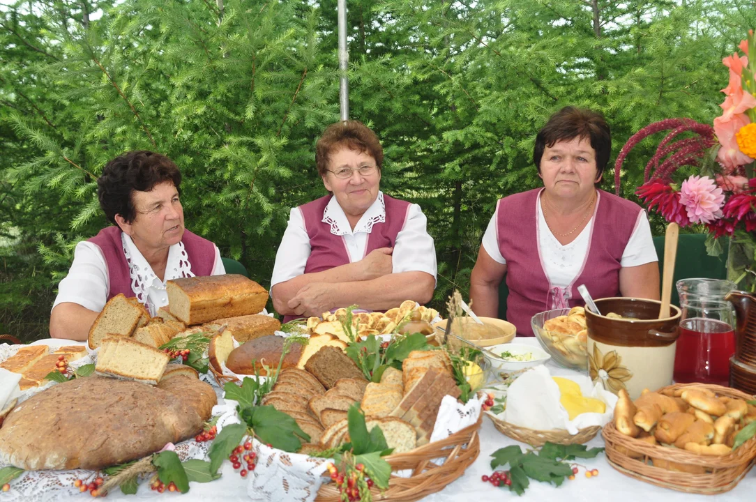 Kolbuszowskie Albertynki. Czy odbędą się tym w tym rok? Zobacz fotografie sprzed dekady [ZDJĘCIA] - Zdjęcie główne