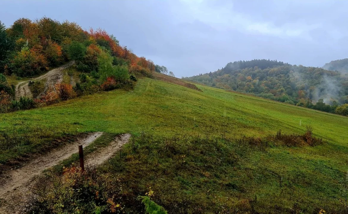 Jesienne Bieszczady