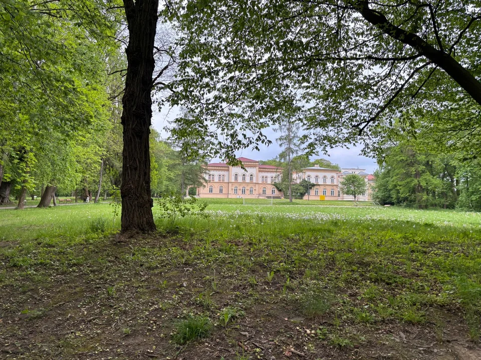 Park w Tyczynie