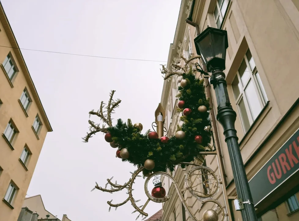 Świąteczna choinka już zagościła na rzeszowskim Rynku