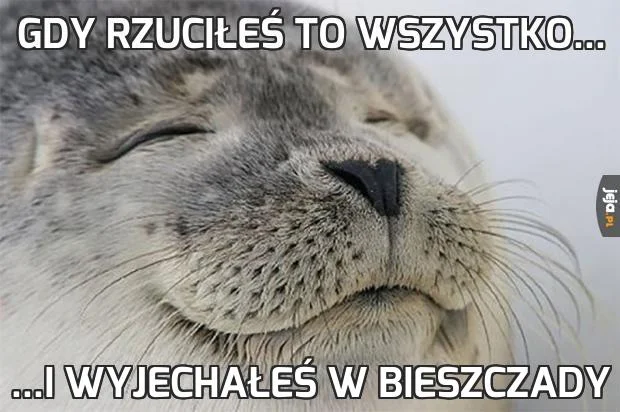 Memy o Bieszczadach