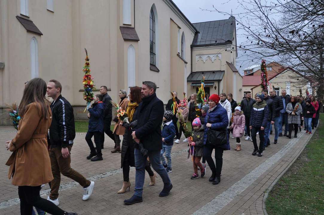 Parafianie w Przecławiu świętowali z pięknymi palmami własnego wykonania