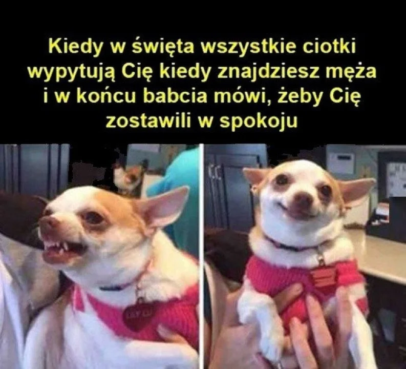 Memy na Święta Bożego Narodzenia