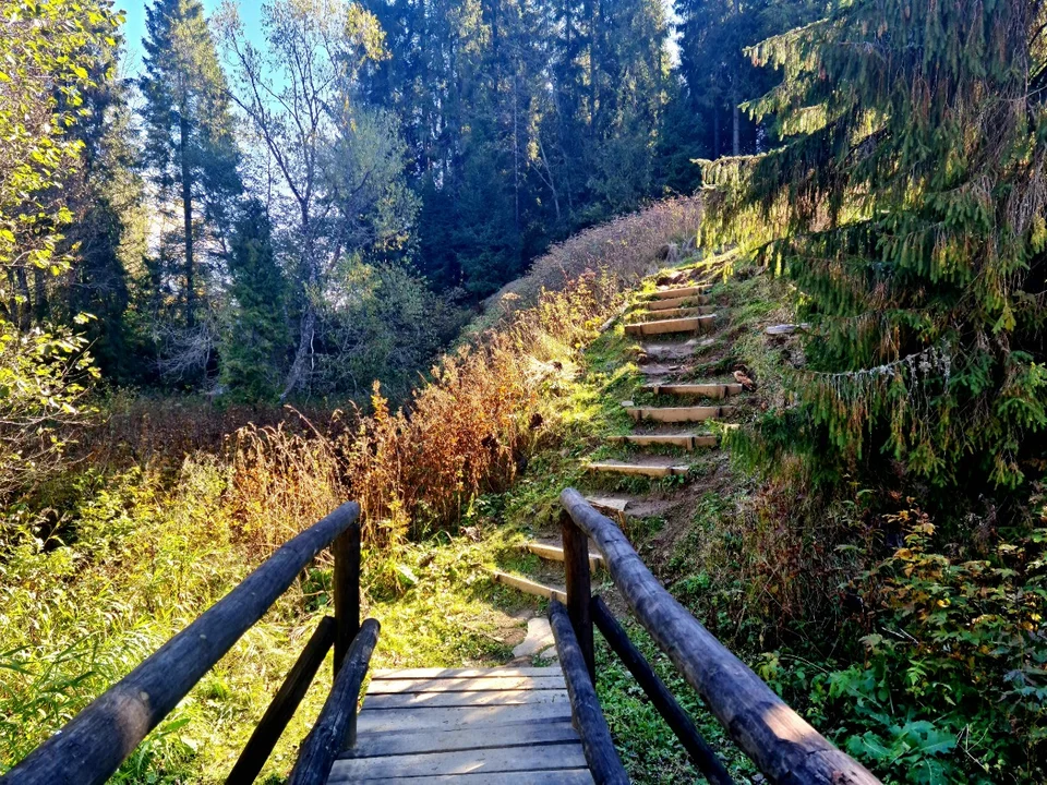 W drodze do Źródeł Sanu