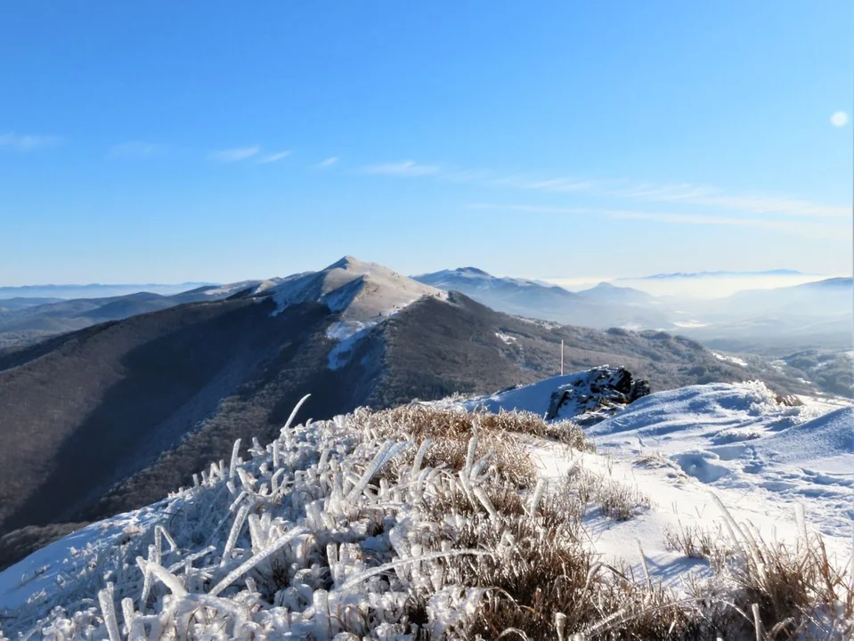 Bieszczady. Połonina Wetlińska