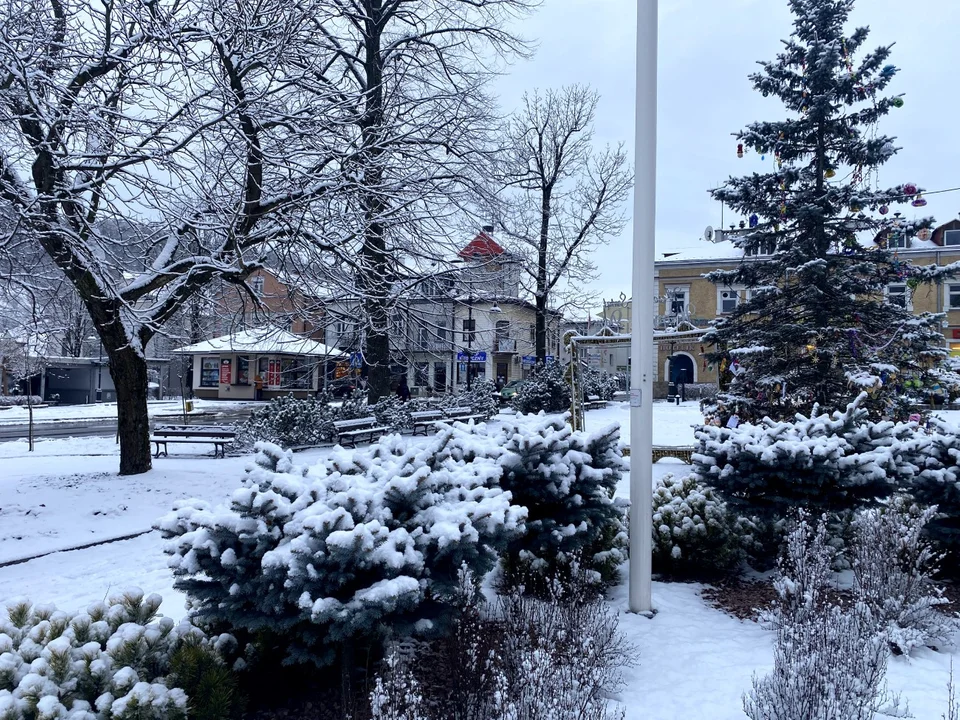 Śnieg wrócił tuż przed Wigilią