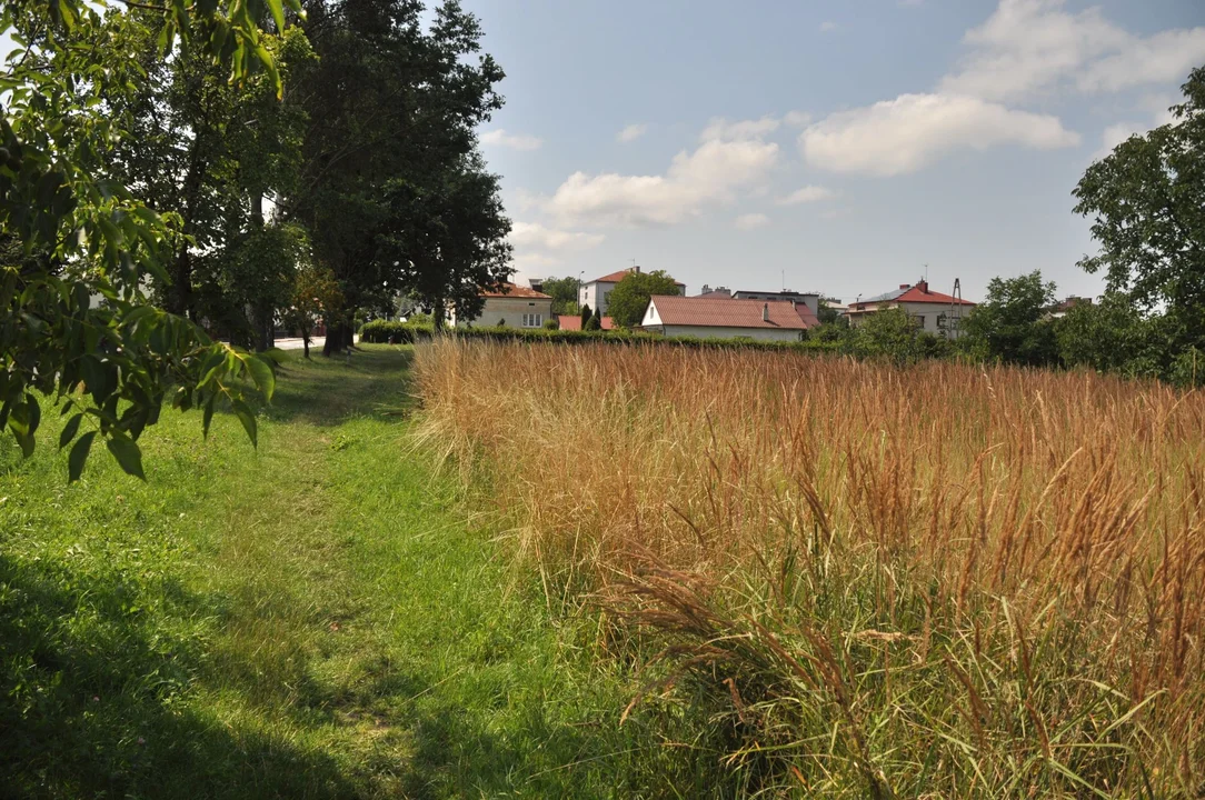 Działka przy ul. Wojska Polskiego w Kolbuszowej