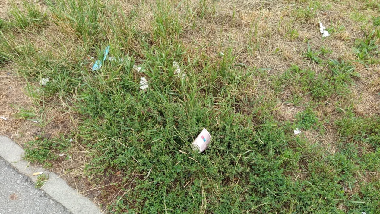 A kosz?