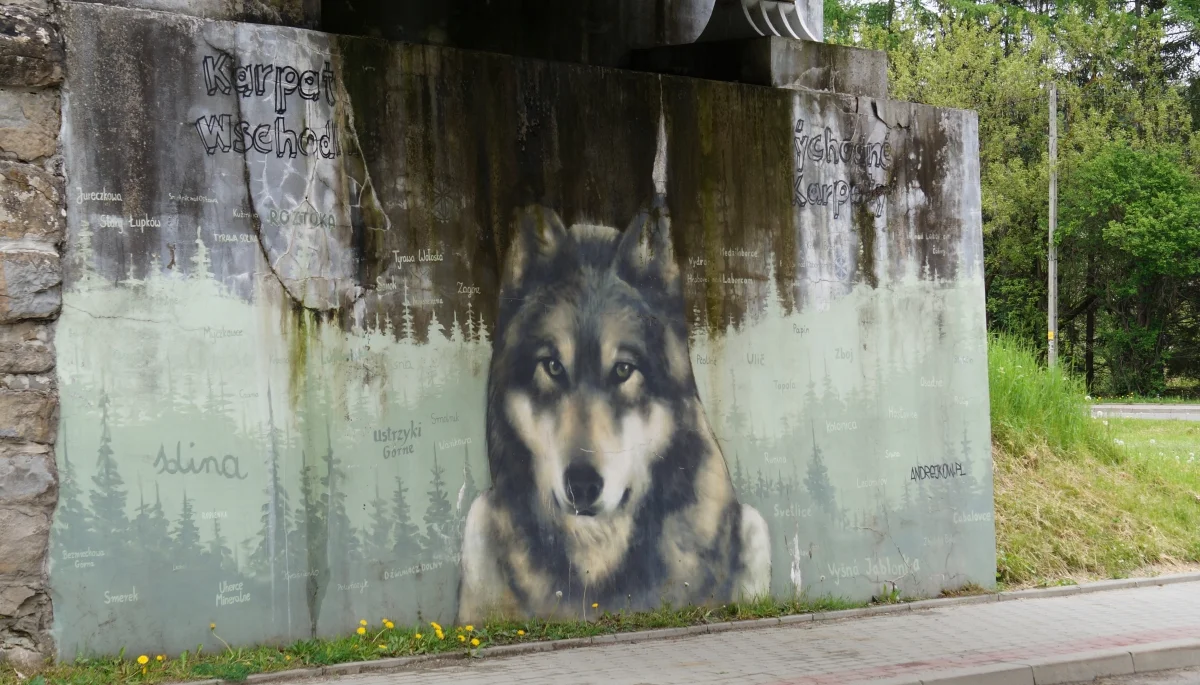 Sześć lat temu w Komańczy powstały murale puchacza i wilka. Dzieła do dziś wzbudzają zainteresowanie [ZDJĘCIA, WIDEO] - Zdjęcie główne