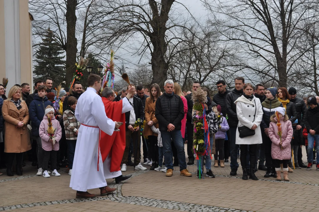 Parafianie w Przecławiu świętowali z pięknymi palmami własnego wykonania