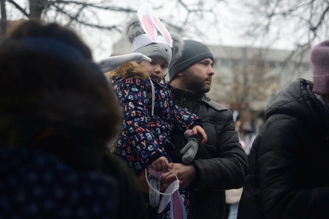Rekord Polski dla Bartoszka Jędrasika chorego na SMA. W Tarnobrzegu zgromadziło się ponad 500 osób przebranych za króliki