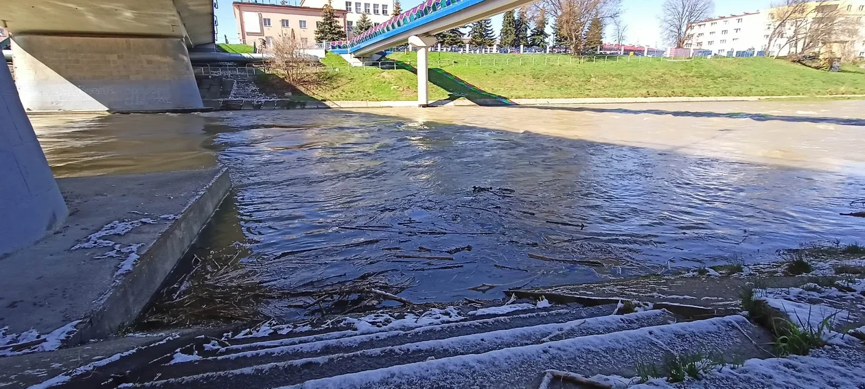 Policja nadal poszukuje mężczyzny, który zaginął w Wisłoku. Pomagała Specjalna Grupa Płetwonurków RP - Zdjęcie główne