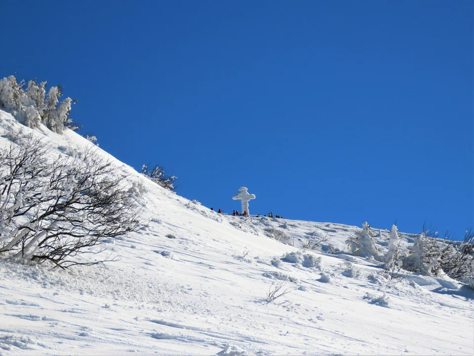 Tarnica i Smerek - Bieszczady