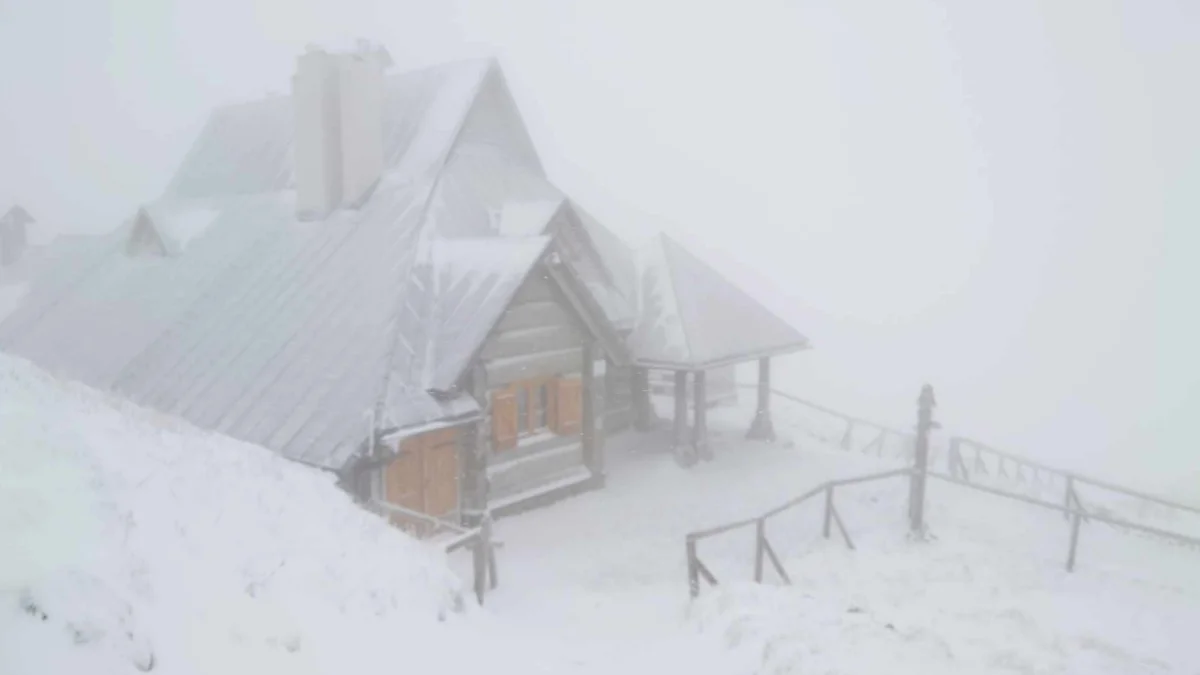 Śnieg w Bieszczadach. Połonina Wetlińska zmieniła się w zimową krainę [ZDJĘCIA] - Zdjęcie główne