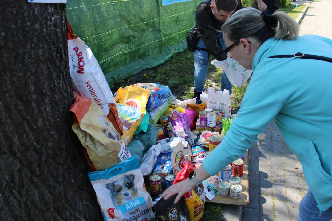 Dzień otwarty w Schronisku dla Bezdomnych Zwierząt w Mielcu