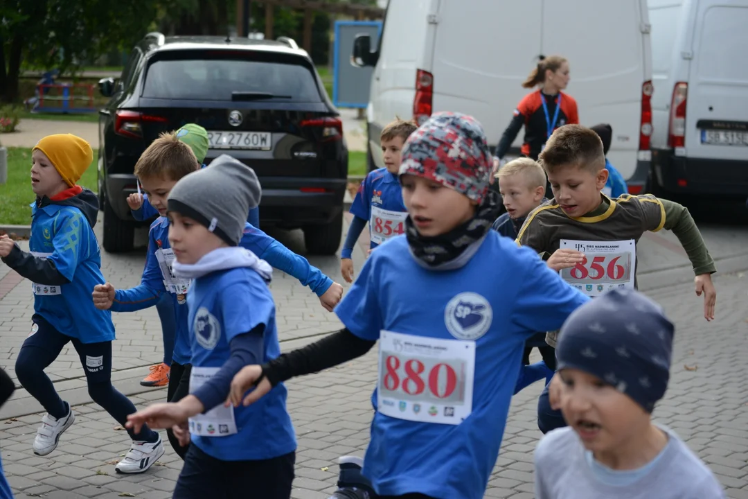 45. Bieg Nadwiślański im. Alfreda Freyera w Tarnobrzegu - biegi dziecięco-młodzieżowe
