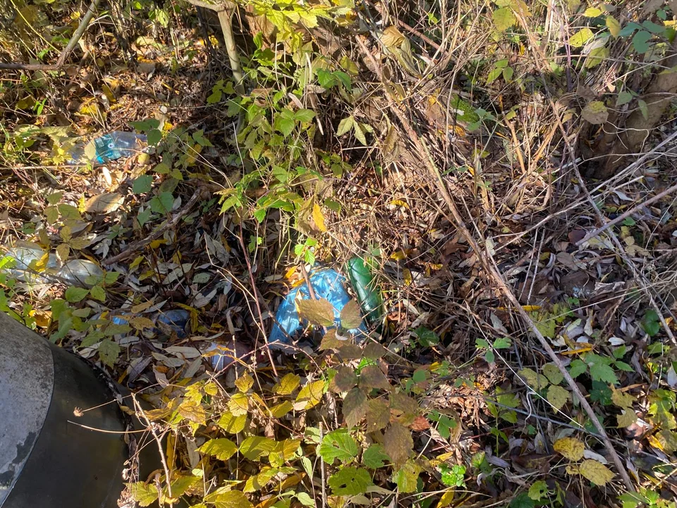 Śmieci w rejonie ulicy Jachowicza w Rzeszowie