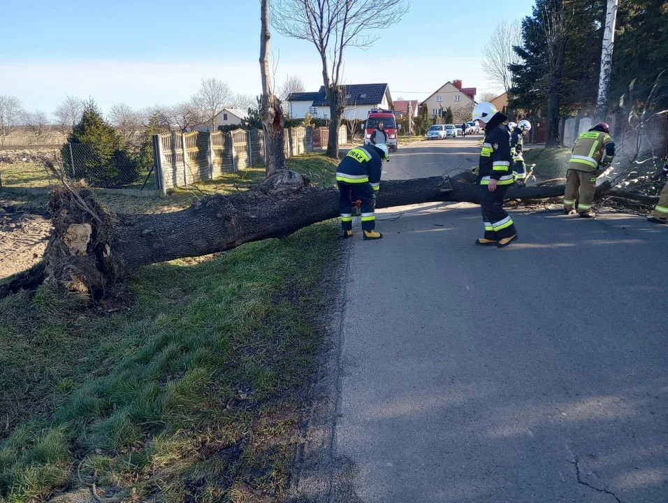 Silny wiatr na Podkarpaciu - interwencje strażaków