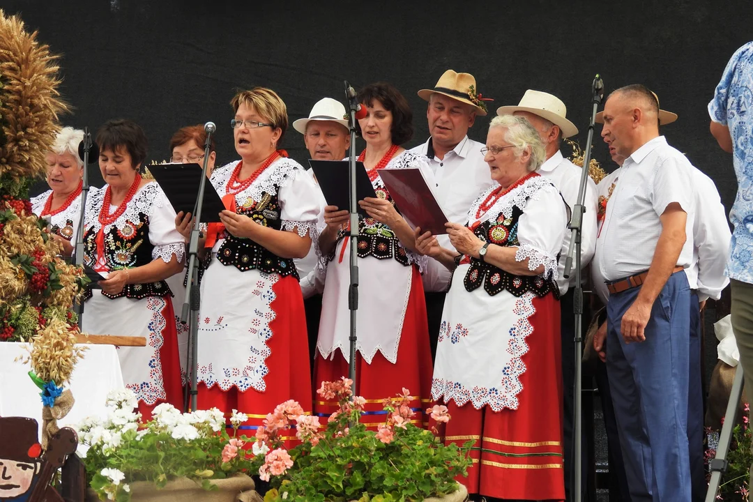 Piękne stroje, wieńce i tradycyjne śpiewy. Jeszcze więcej zdjęć z dożynek gminy Kolbuszowa [ZDJĘCIA] - Zdjęcie główne