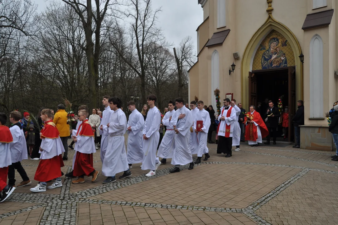 Parafianie w Przecławiu świętowali z pięknymi palmami własnego wykonania