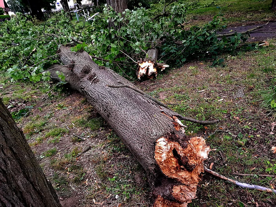 Burza przy ZS im. Groszkowskiego
