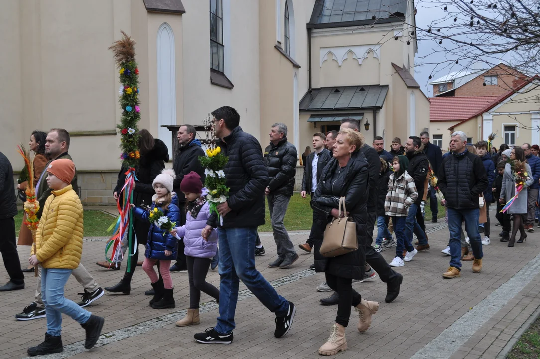 Parafianie w Przecławiu świętowali z pięknymi palmami własnego wykonania