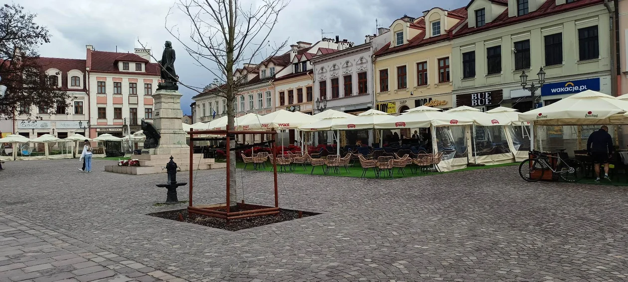 Sezon ogródkowy na Rynku rozpoczęty! Średnio dopisała pogoda. Tak prezentują się tegoroczne ogródki piwne [ZDJĘCIA]