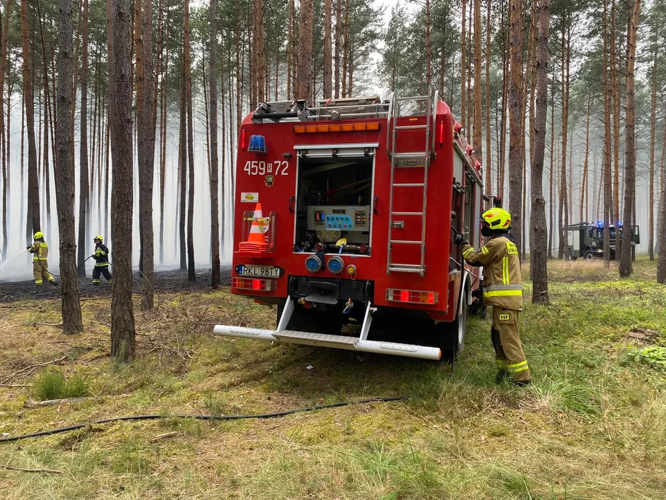 Pożar na terenie poligonu w Nowej Dębie