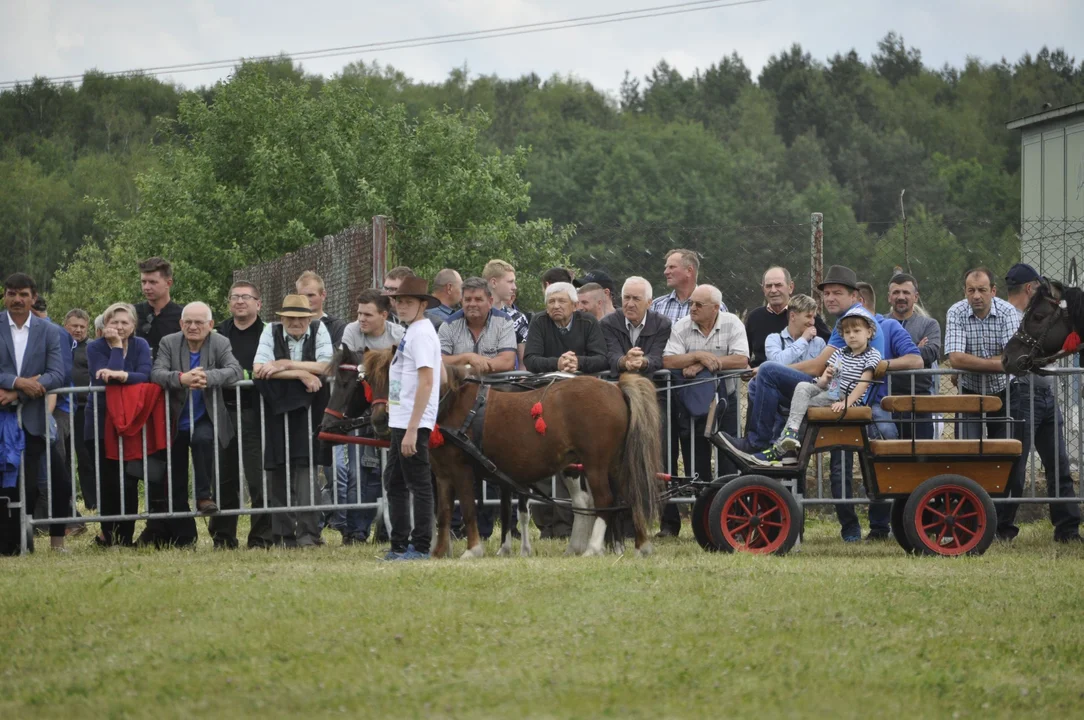 Parada konna w Żarówce