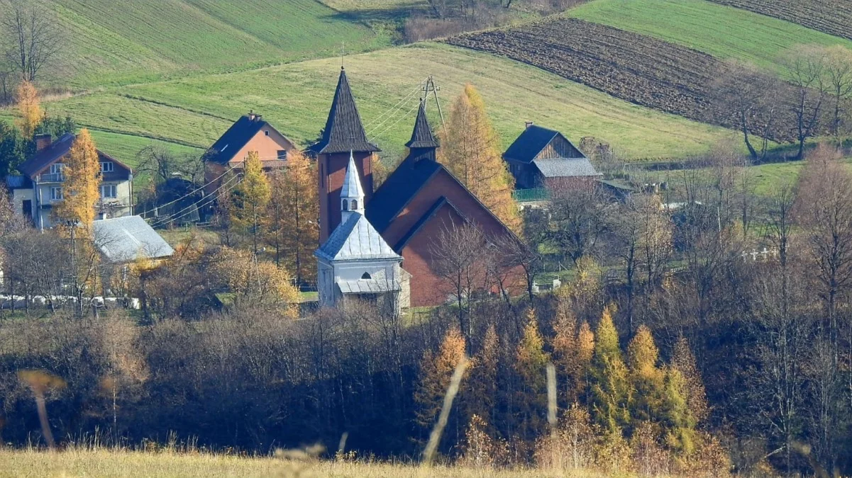 Terka późną jesienią