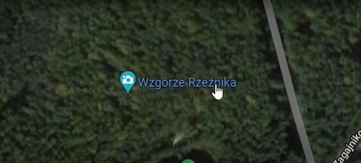 Tajemnicza postać w lesie w Głogowie Małopolskim uchwycona w Google Maps