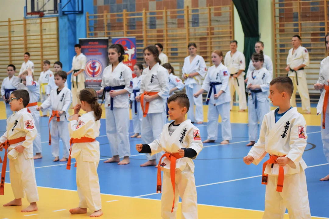 Trening z Remigiuszem Karpińskim - Prezesem Polskiej Federacji Shinkyokushin Karate [ZDJĘCIA, VIDEO] - Zdjęcie główne