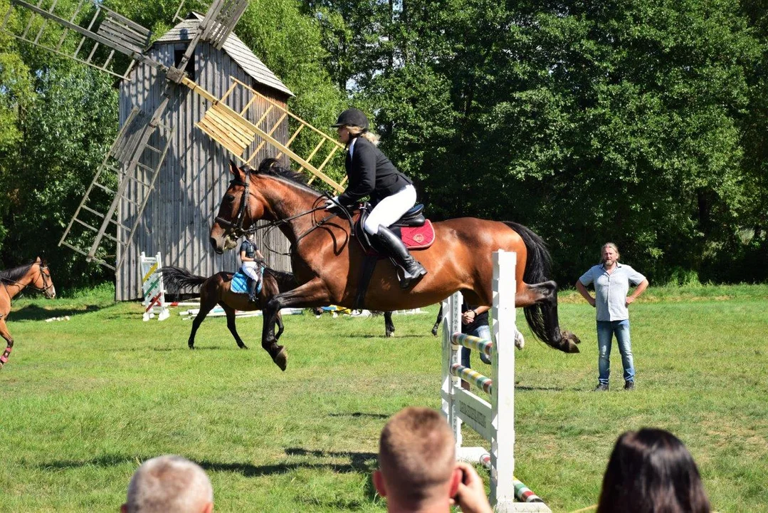 Ponad 3 tysiące ludzi na imprezie "Koń, jaki jest..." w skansenie. - Jak zawsze turyści nas nie zawiedli - mówi Urszula Rzeszut-Baran z MKL w Kolbuszowej [ZDJĘCIA] - Zdjęcie główne