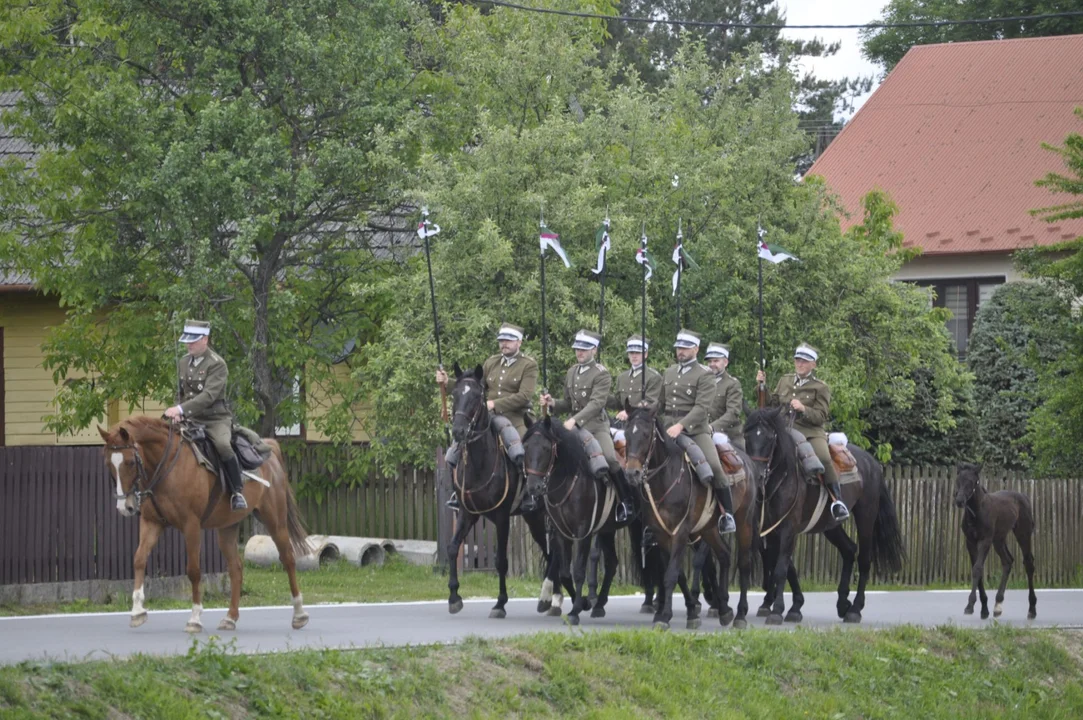 Parada konna w Żarówce