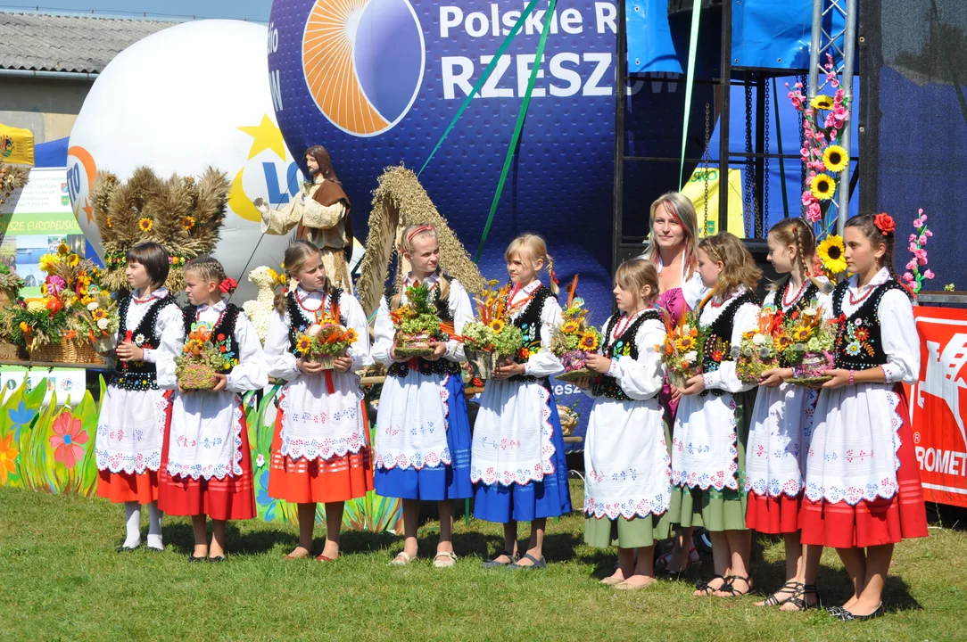 Tak było na dożynkach w Majdanie Królewskim 11 lat temu.