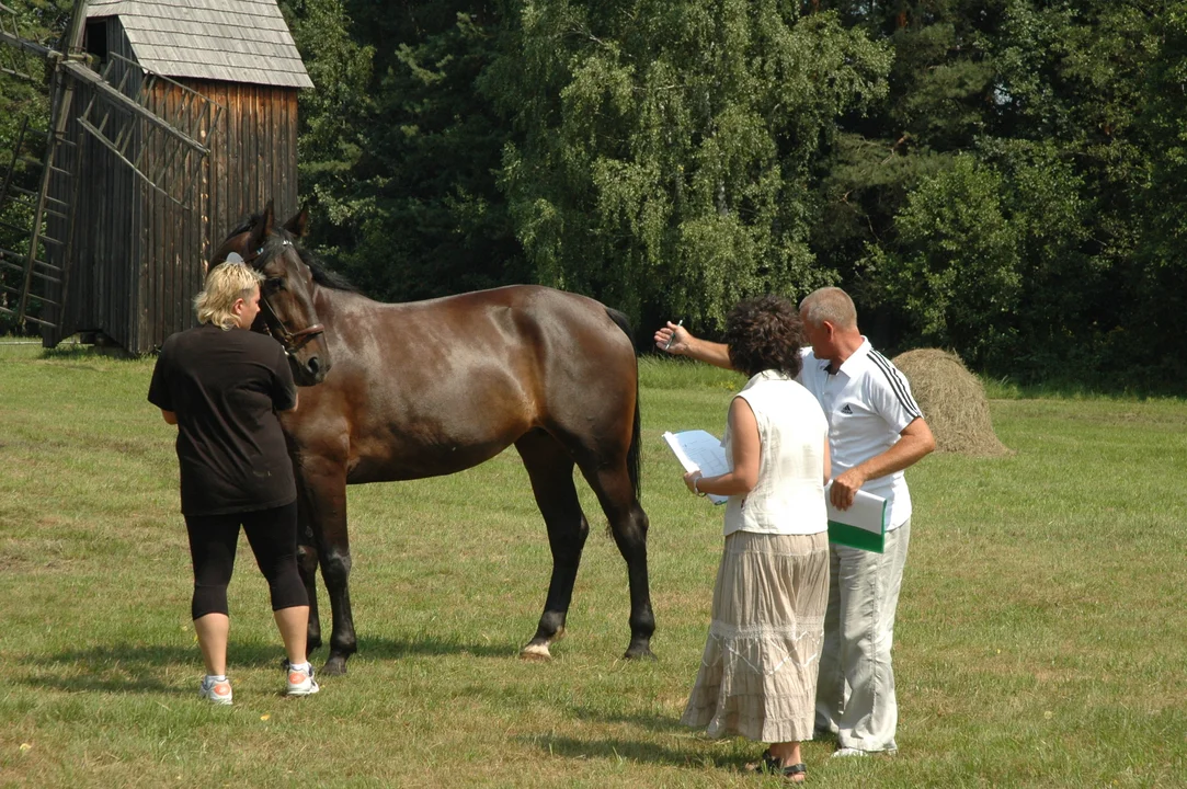 Koń, jaki jest.. - skansen w Kolbuszowej 2011