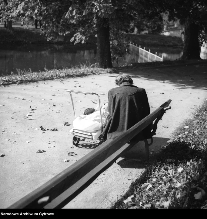 Jesienne krajobrazy na archiwalnych fotografiach [ZDJĄCIA]