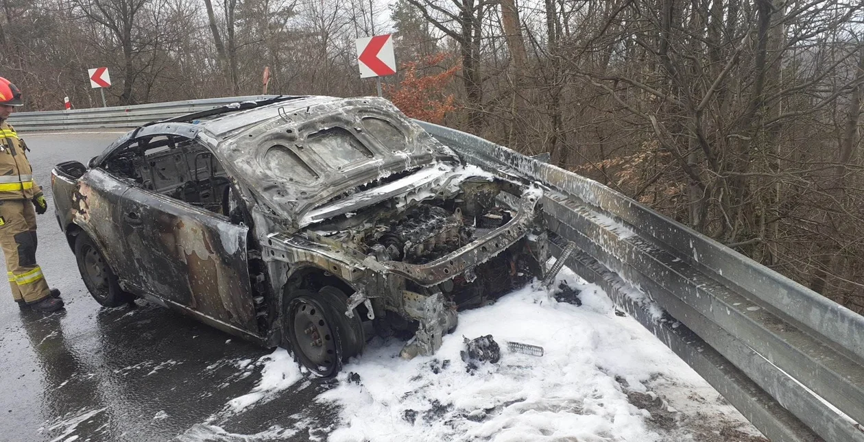 Samochód zapalił się w czasie jazdy na serpentynach w Wujskiem. Niestety spłonął doszczętnie [ZDJĘCIA] - Zdjęcie główne