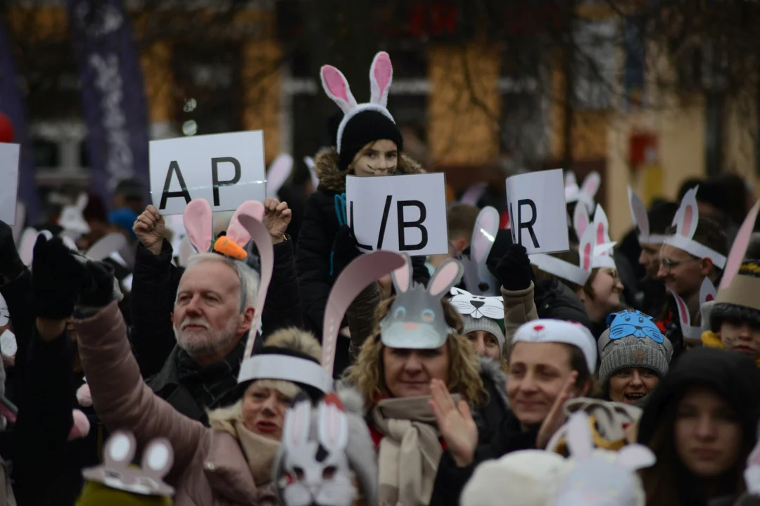 Rekord Polski dla Bartoszka Jędrasika chorego na SMA. W Tarnobrzegu zgromadziło się ponad 500 osób przebranych za króliki