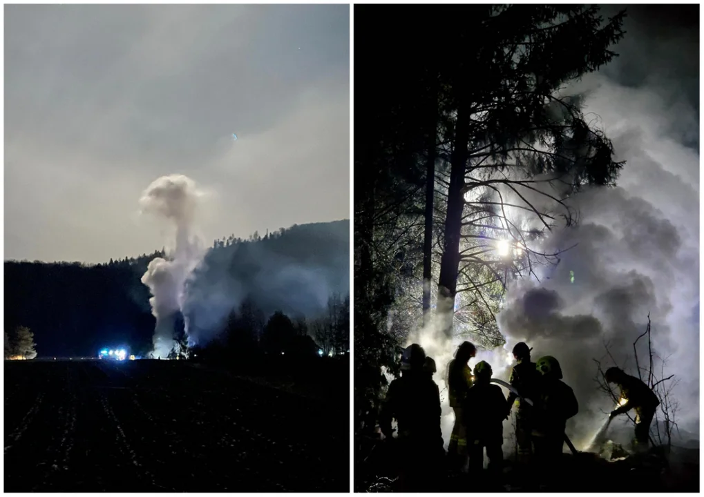 Pożar altanki nieopodal lasu w Mrzygłodzie. Domek spłonął doszczętnie [ZDJĘCIA,WIDEO] - Zdjęcie główne