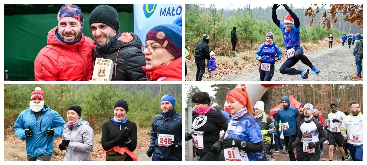 VI Bieg Zeloty w rezerwacie "Bór" w Głogowie Małopolskim. 268 biegaczy w biegu na 5 km [ZDJĘCIA] - Zdjęcie główne