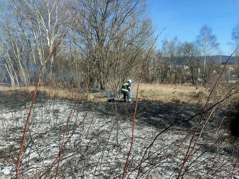 Pożar trawy przy obwodnicy Sanoka