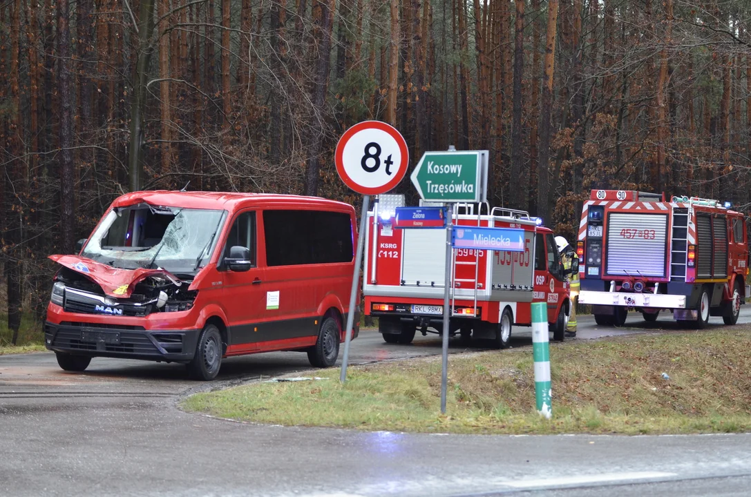 Zderzenie z jeleniem w Przyłęku